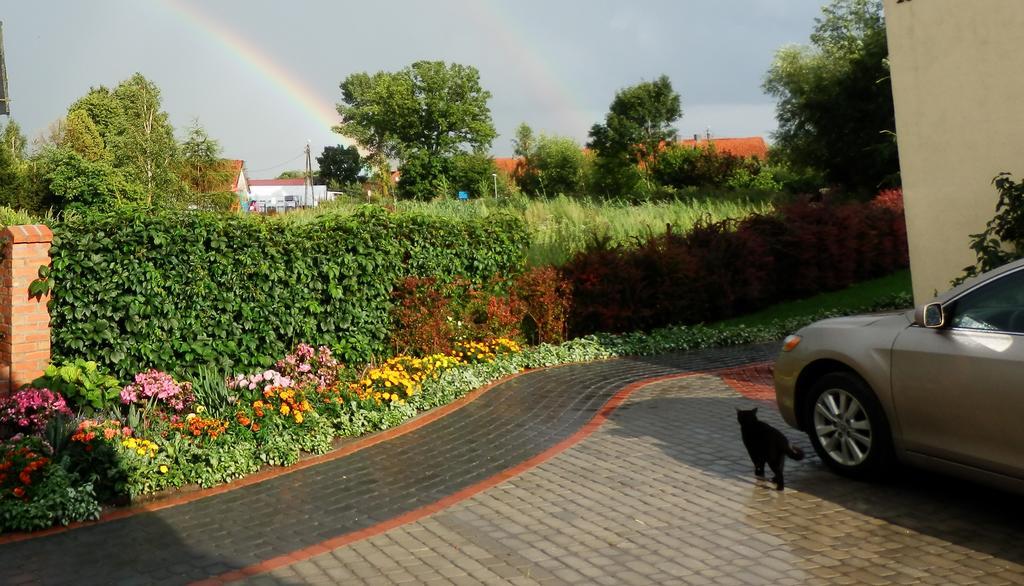 Sloneczny Wodnik Apartment Braniewo Bagian luar foto