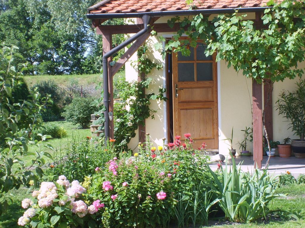 Sloneczny Wodnik Apartment Braniewo Bagian luar foto